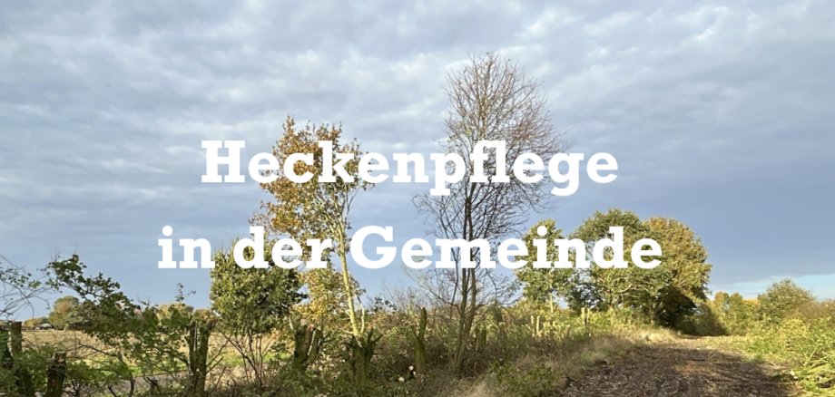 Hecken in der Gemeinde werden gepflegt